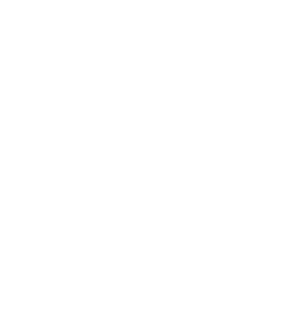 umich_white