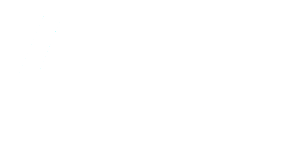 ansys_logo